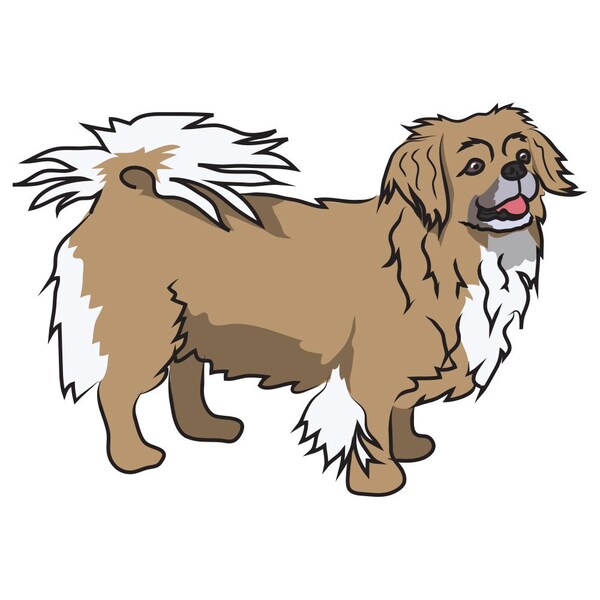 Signmission Tibetan Spaniel Dog Decal, Dog Lover Decor Vinyl Sticker D-12-Tibetan Spaniel - main